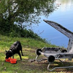 Disc-O-Bed Dog Bowl faltbarer Futternapf 2er Set