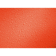 Deuter Light Drypack 5