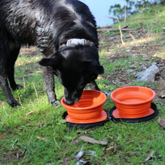 Disc-O-Bed Dog Bowl faltbarer Futternapf 2er Set