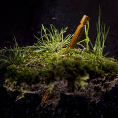 Helikon-Tex Tarp Stakes