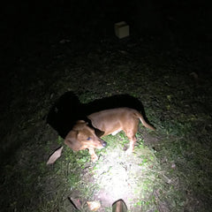 Disc-O-Bed Camping Licht X5