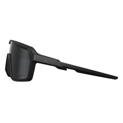 Wiley X Schutzbrille Citadel Captivate Grey