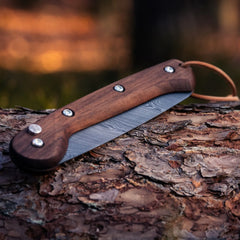 Woxna Klappsäge Söderfors 180 mm mit Lederholster