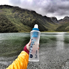 Katadyn Wasserfilter Be Free 0.6 L