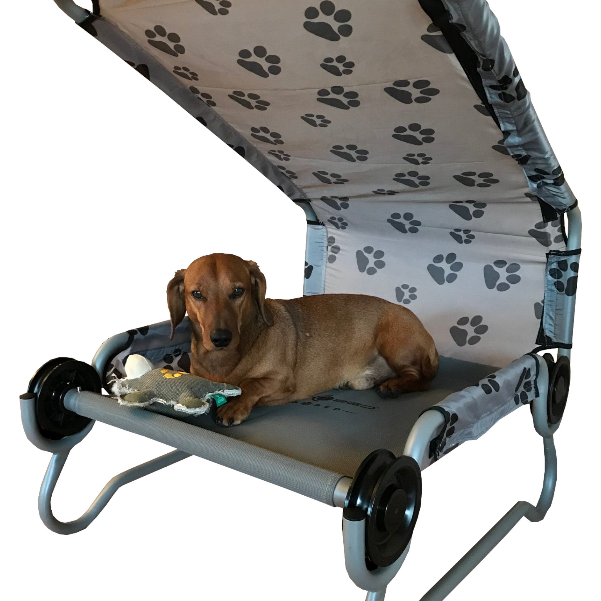 Disc-O-Bed Dog Bed Small
