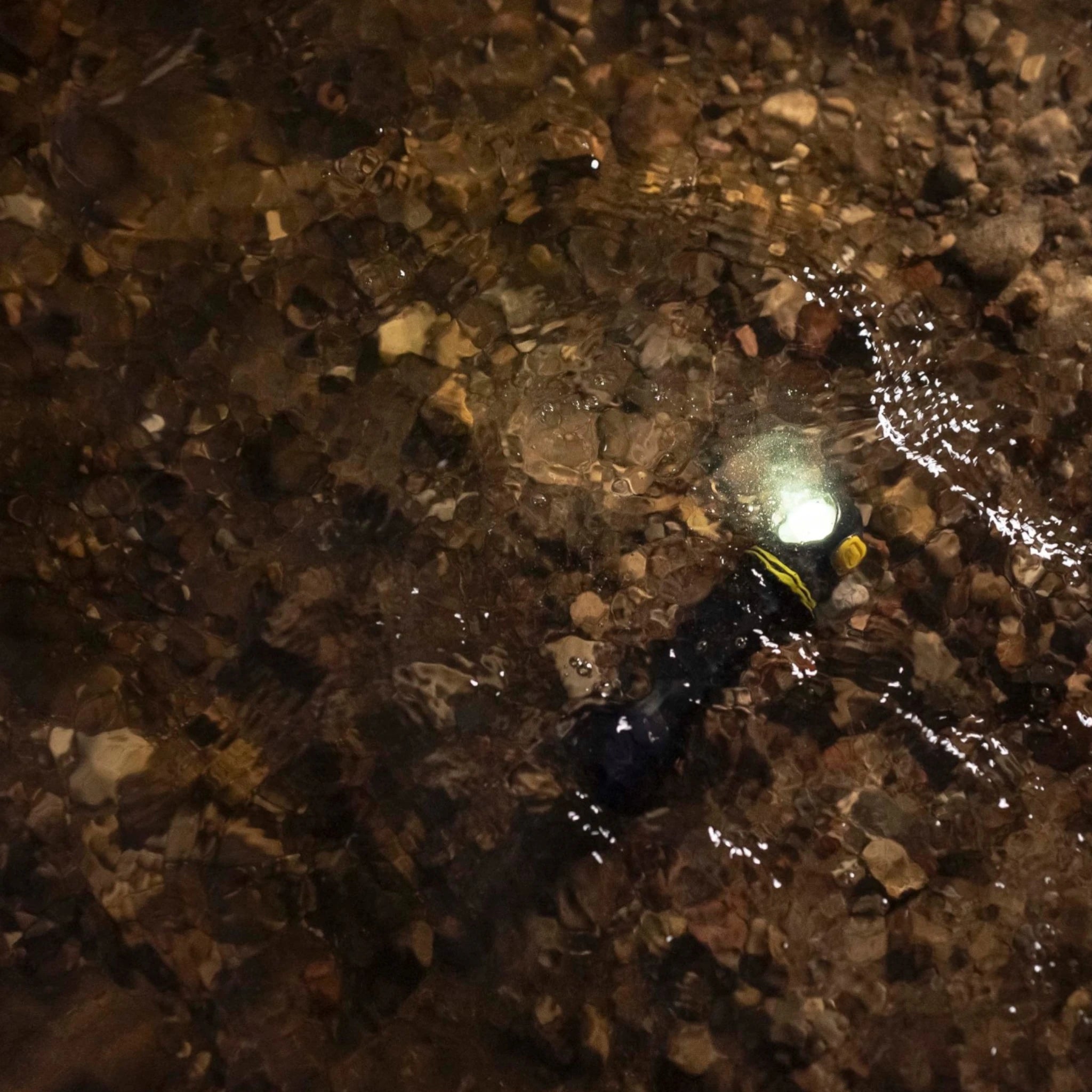 Armytek Elf C2 Max LR USB-C Taschenlampe