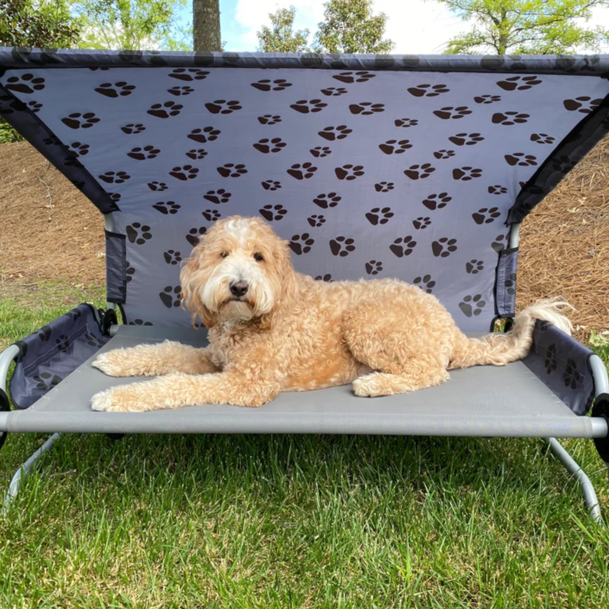 Disc-O-Bed Dog Bed Large