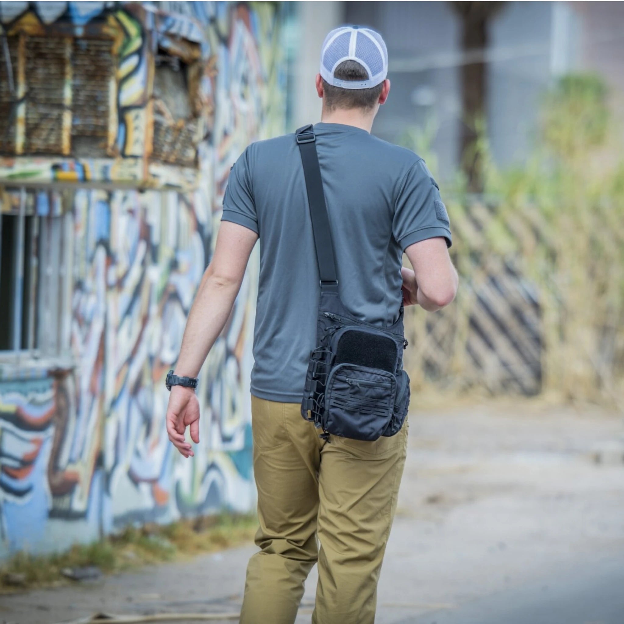 Coyote