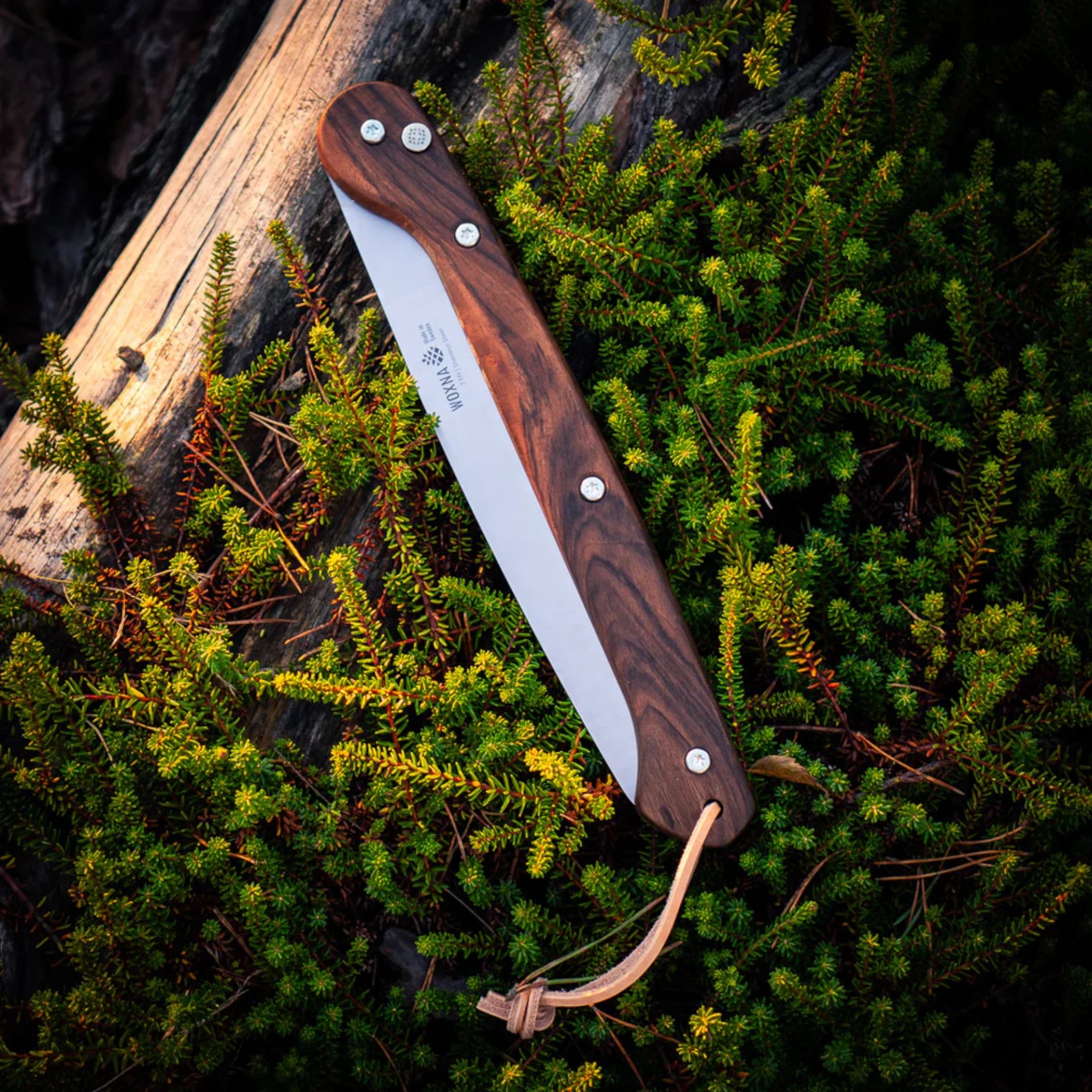 Woxna Klappsäge Ljusnan 250 mm mit Lederholster