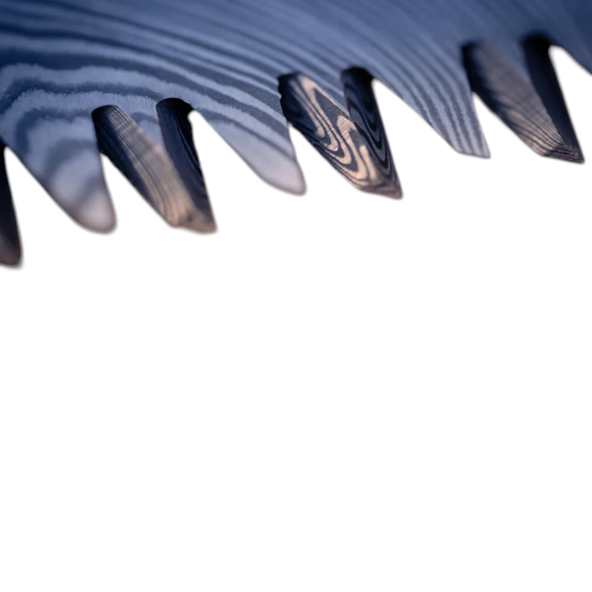 Woxna Klappsäge Söderfors 180 mm mit Lederholster